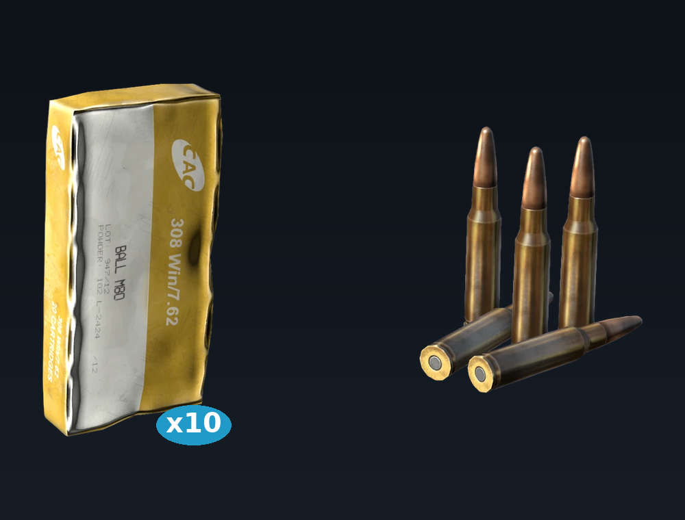 .308 ammo — set of 10 boxes, shown with the box and loose .308 rounds (in-game graphics)