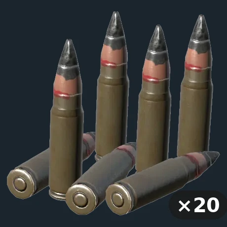 .308 ammo 20 boxes — flat-lay montage of everything in the package: Ammo 308 Win ×20