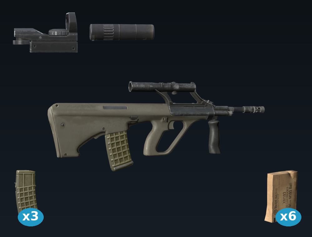 AUR-AX Para — DayZ AugShort package, shown with its real game graphic