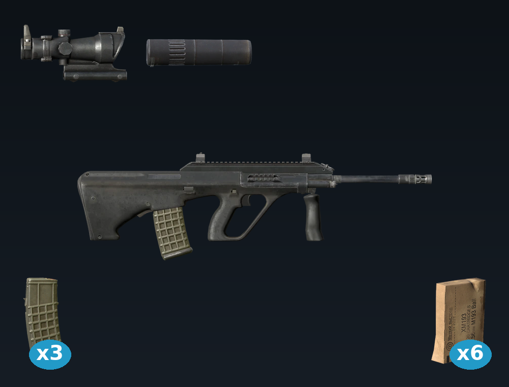 AUR-AX — DayZ Aug package, shown with its real game graphic