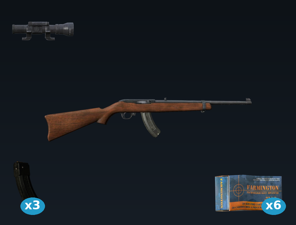 CR-22 Rifle — DayZ Ruger1022 package, shown with its real game graphic