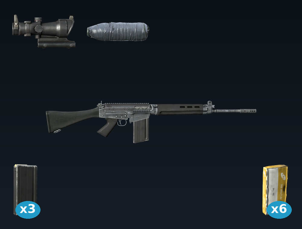FAL — DayZ FAL package, shown with its real game graphic