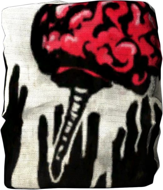 BrainZ Flag — DayZ Flag_BrainZ, shown with its real game graphic