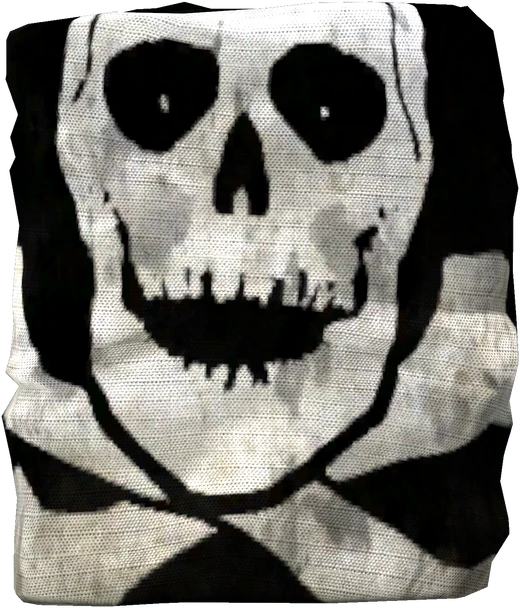 Pirates Flag — DayZ Flag_Pirates, shown with its real game graphic