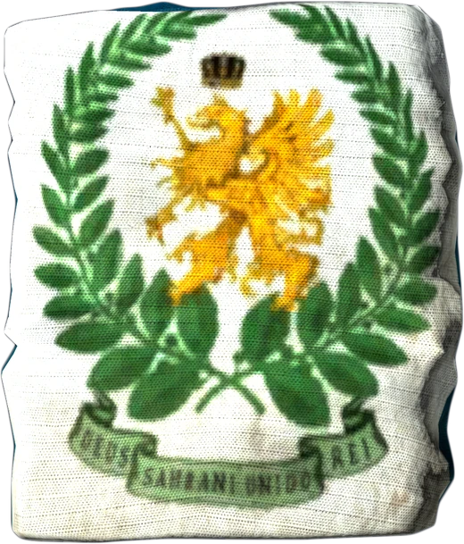 South Sahrani Flag — DayZ Flag_SSahrani, shown with its real game graphic