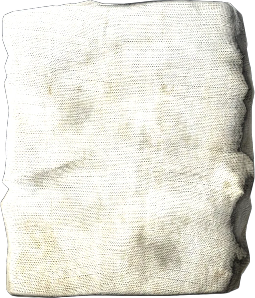 White Flag — DayZ Flag_White, shown with its real game graphic