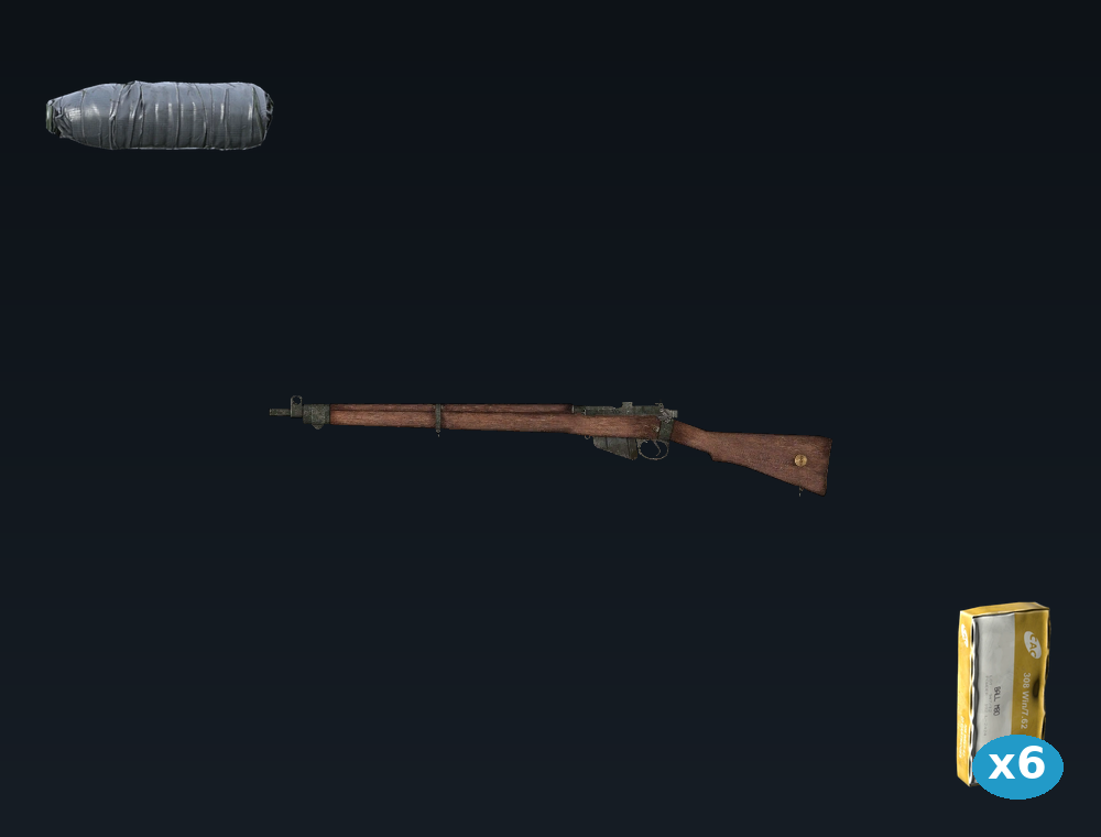 Lee Enfield — DayZ LeeEnfield package, shown with its real game graphic
