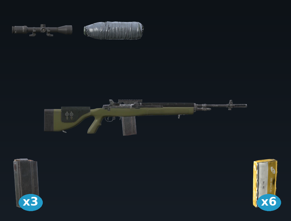 M14 — DayZ M14 package, shown with its real game graphic