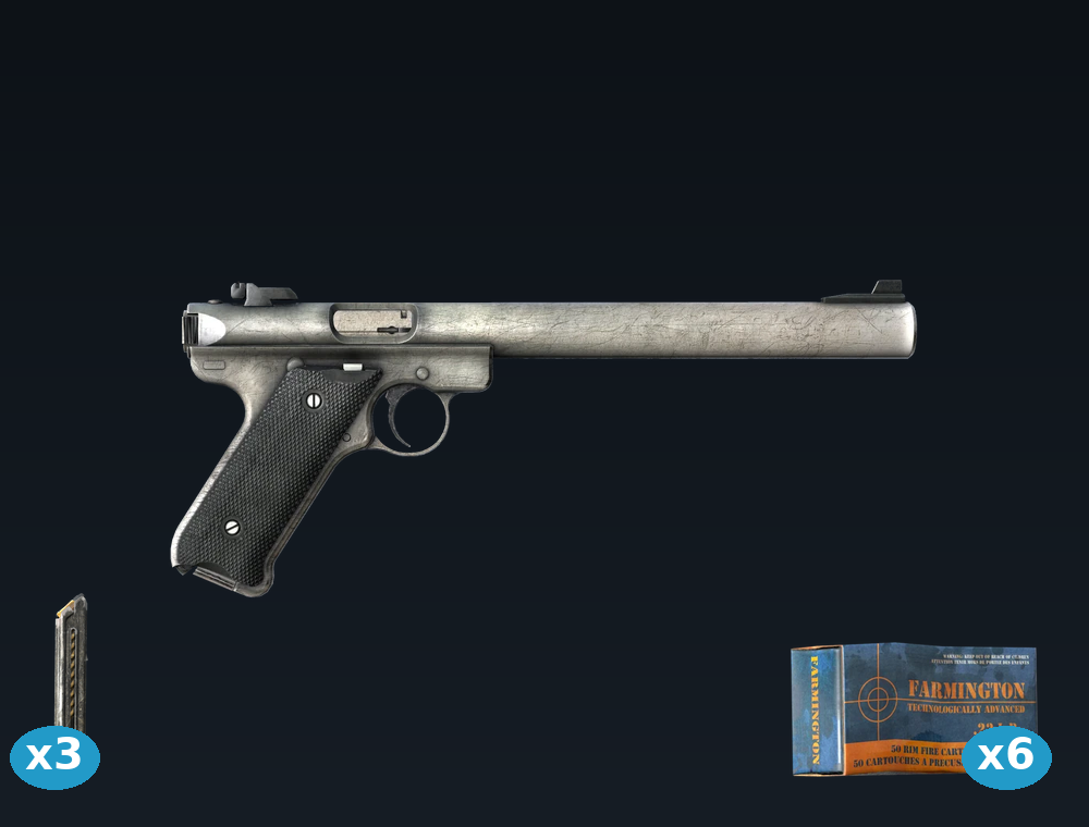 MK II — DayZ MKII package, shown with its real game graphic