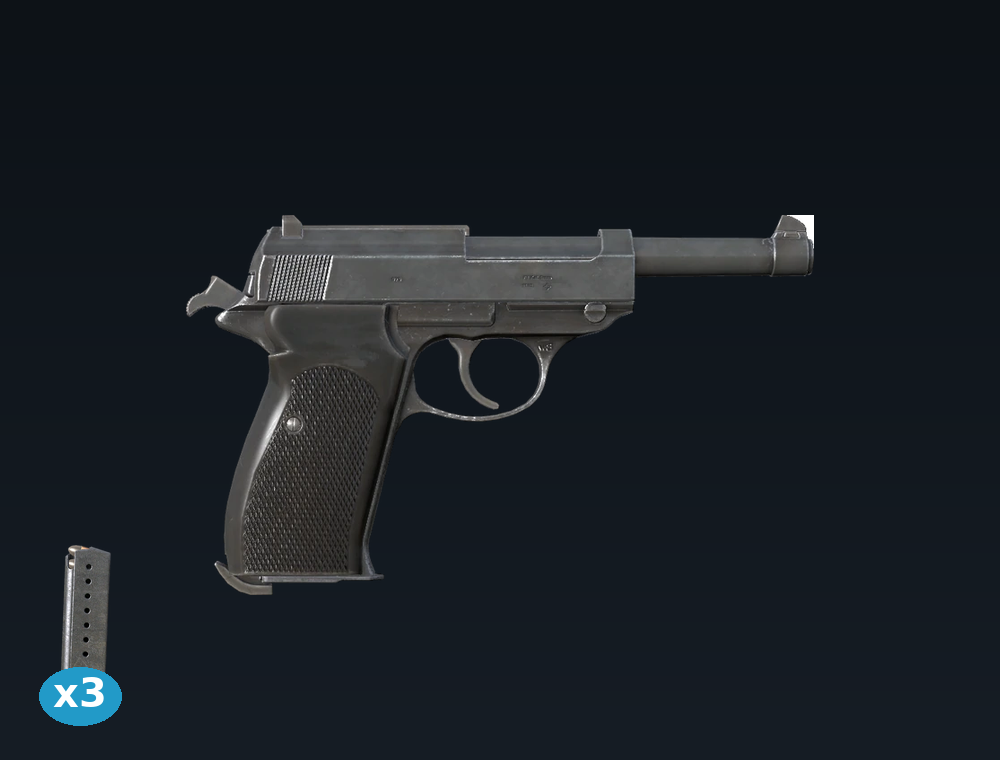 P1 — DayZ P1 package, shown with its real game graphic